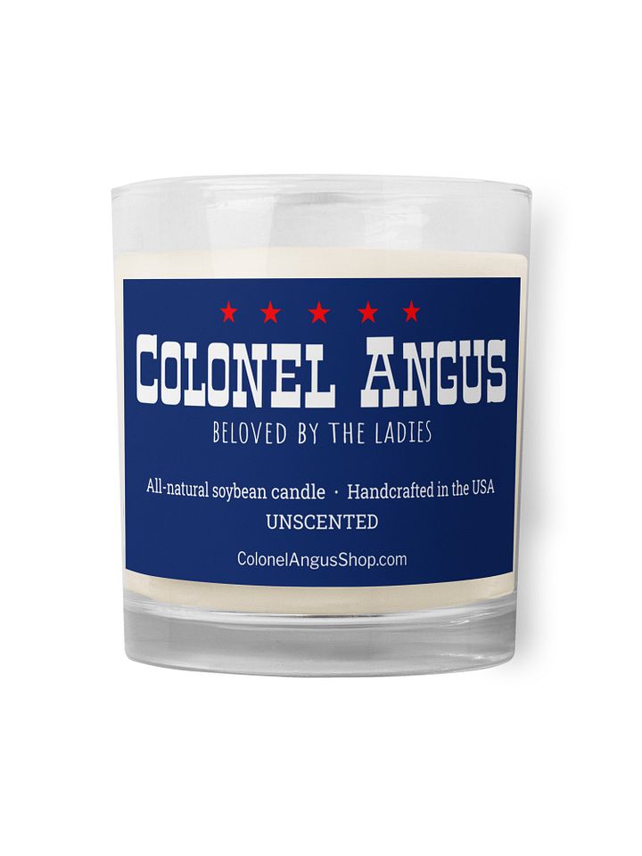 Unscented candle funny gift product image (1)