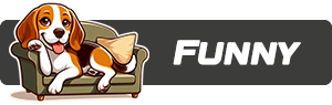 https://cdn.fourthwall.com/sr-creators/resources/d3befe7d-feed-4012-a129-a5c8065a4ebf/f528065c2751ece2f4665d7904c07282_6112420ee89e.png