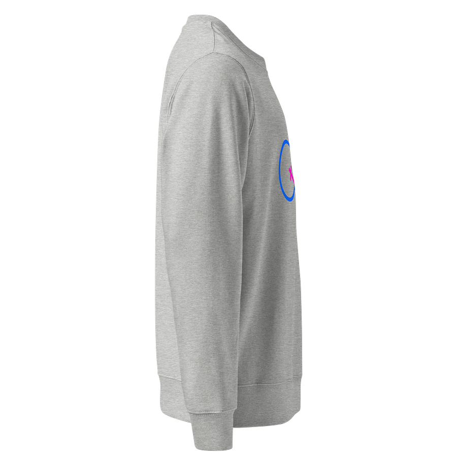 Two Genders Only Organic Sweatshirt product image (4)