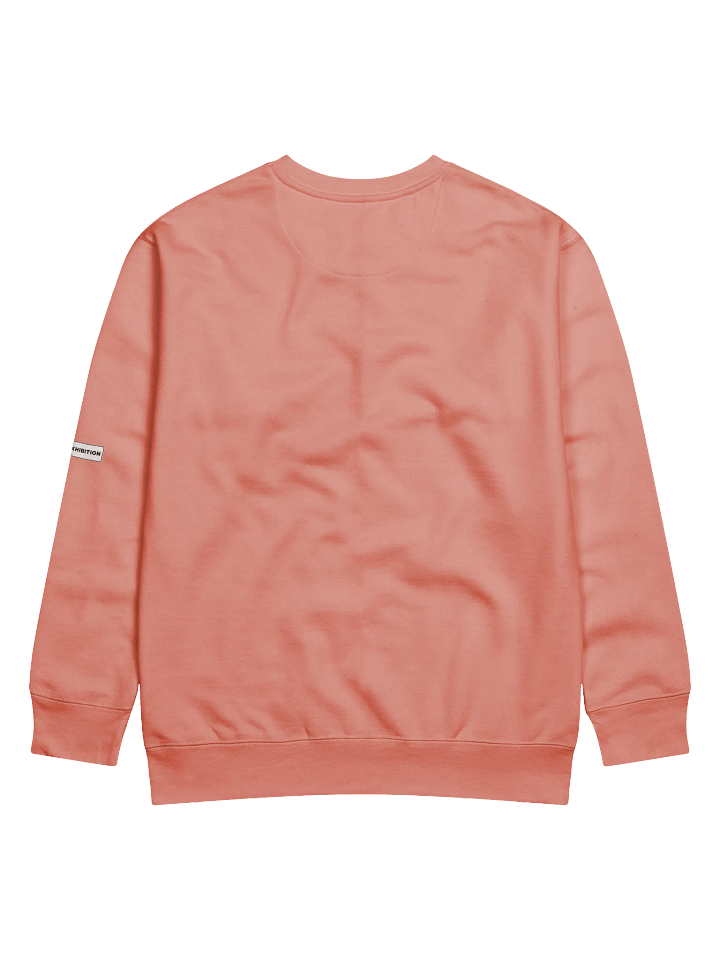 "MORE MUSCLES, LESS PROBLEMS" premium cotton sweatshirt product image (4)