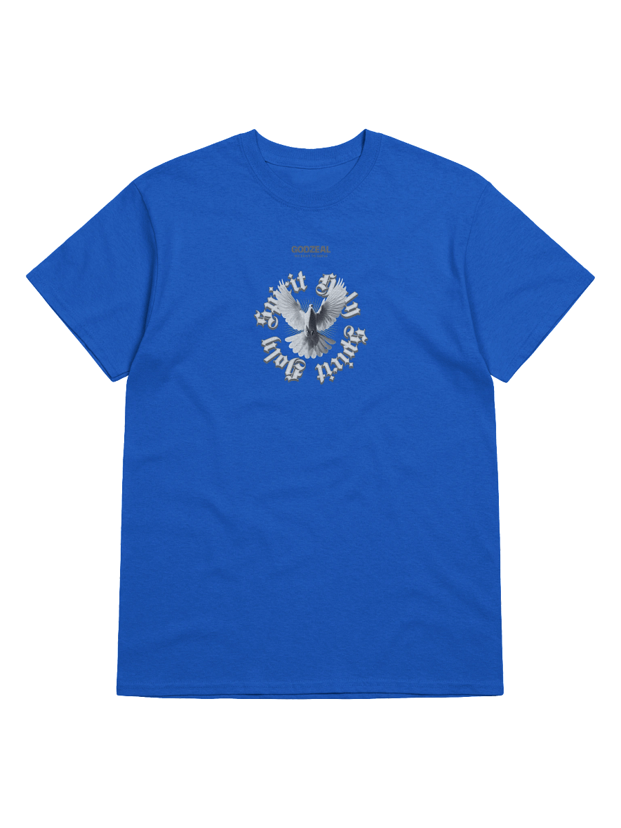 HOLY SPIRIT product image (11)