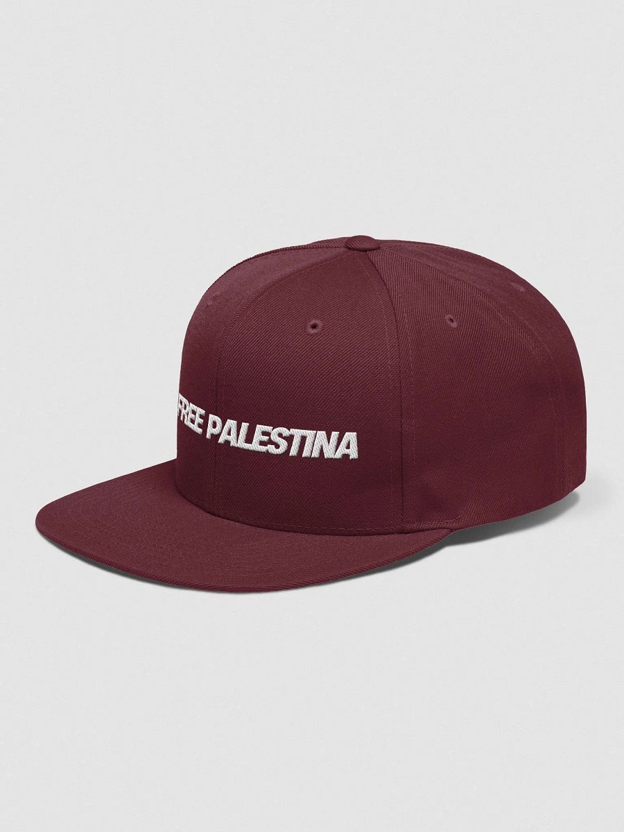 Yupoong Wool Blend Snapback Cap | FREE PALESTINA product image (4)