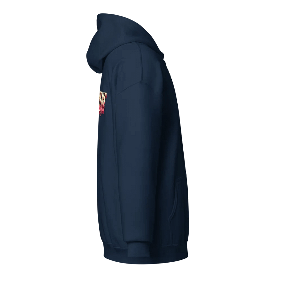 ADVERTIENTE Gradient Zip Hoodie product image (4)