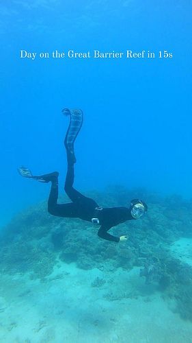 The Great Barrier reef is the world's largest coral reef system, composed of over 2,900 individual reefs and 900 islands.

 I...