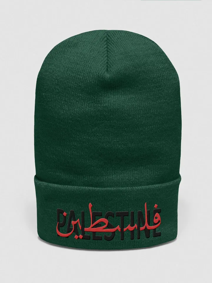 Palestine Beanie product image (1)