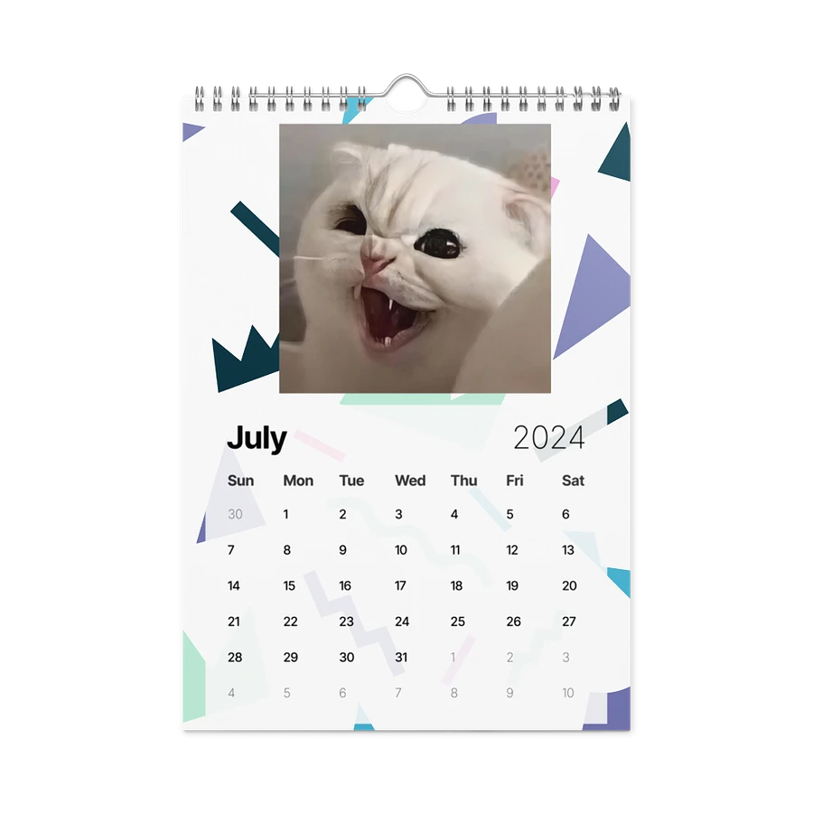 Wall Calendar (2024): Meme Cats product image (10)