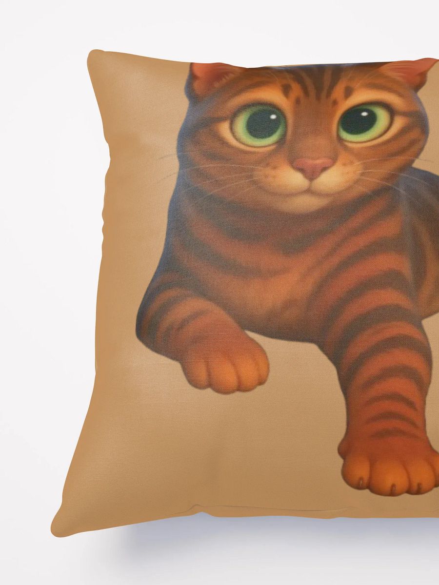 Dior'sCat - Basic Pillow product image (3)