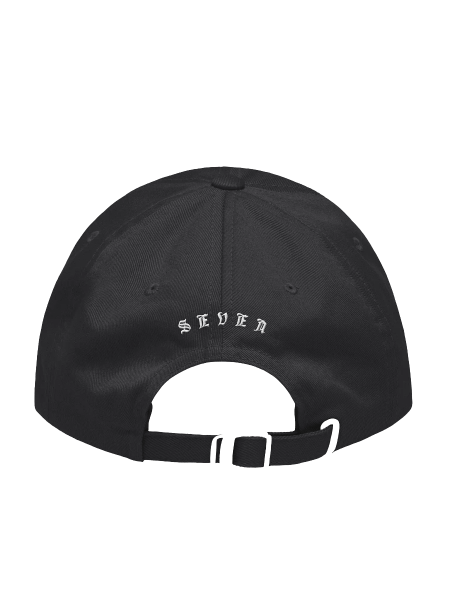 Dad Hat product image (2)
