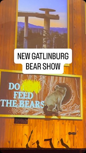 NEW Bear projection show at The Park Grill in Gatlinburg! 🐻 Their salad bar is one of our favorites in The Smokies & kids of ...