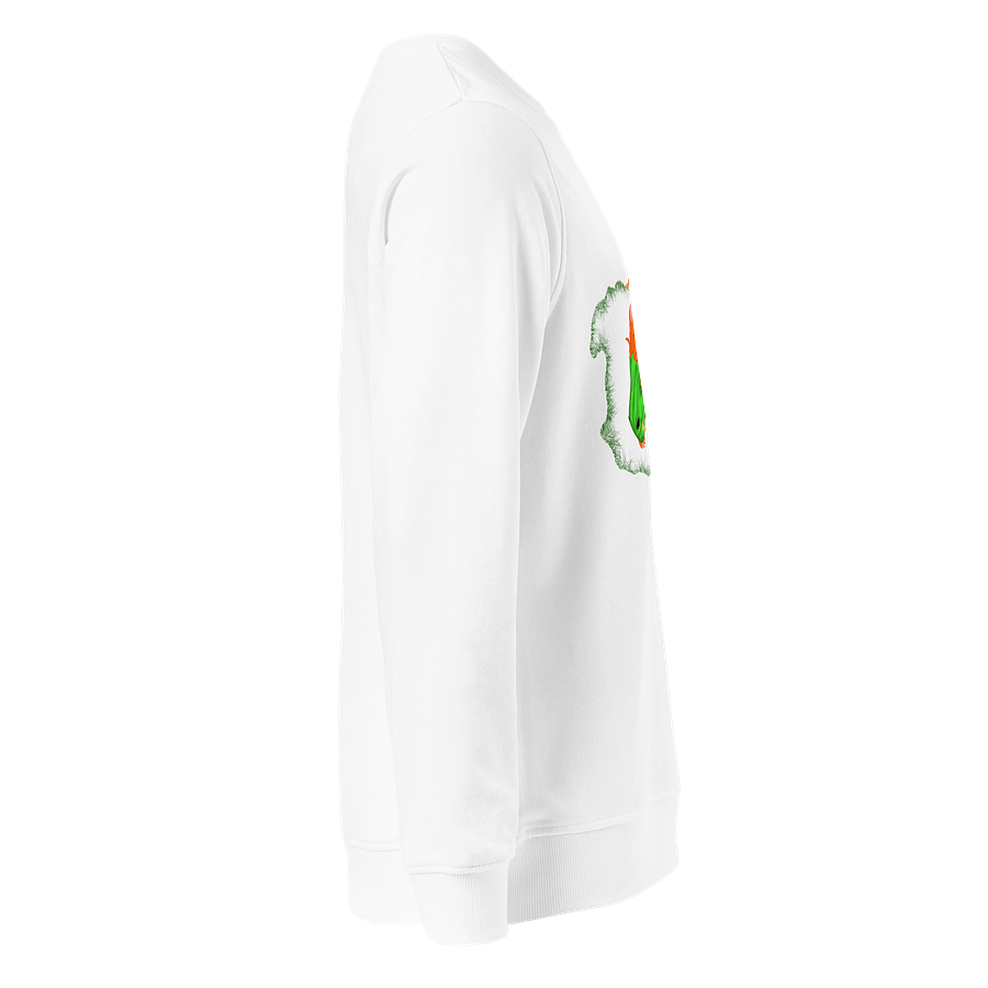 Dragon's Fury Organic Sweatshirt product image (4)