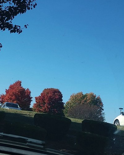 Today was a beautiful day. I hope y'all had a good one also.