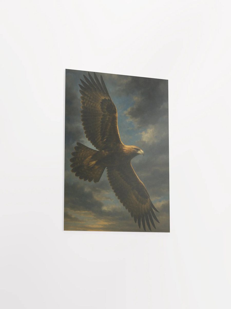 Wedge tailed eagle product image (9)