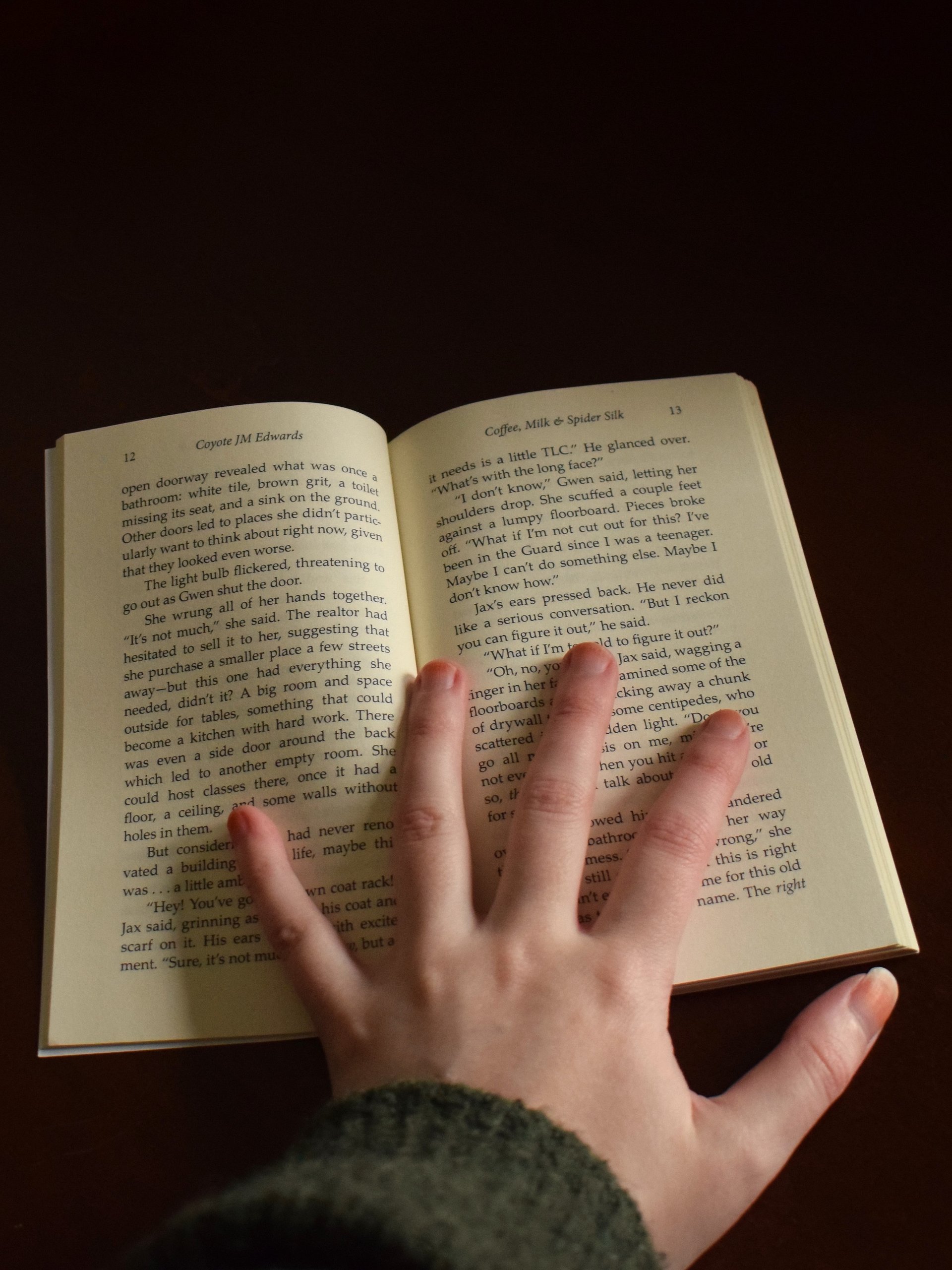 Coffee, Milk & Spider Silk (paperback) - with a copy for a friend! product image (4)