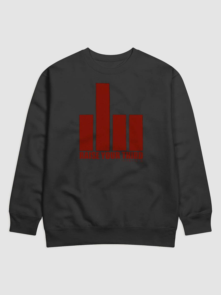 Raise Your third swetshirt product image (1)