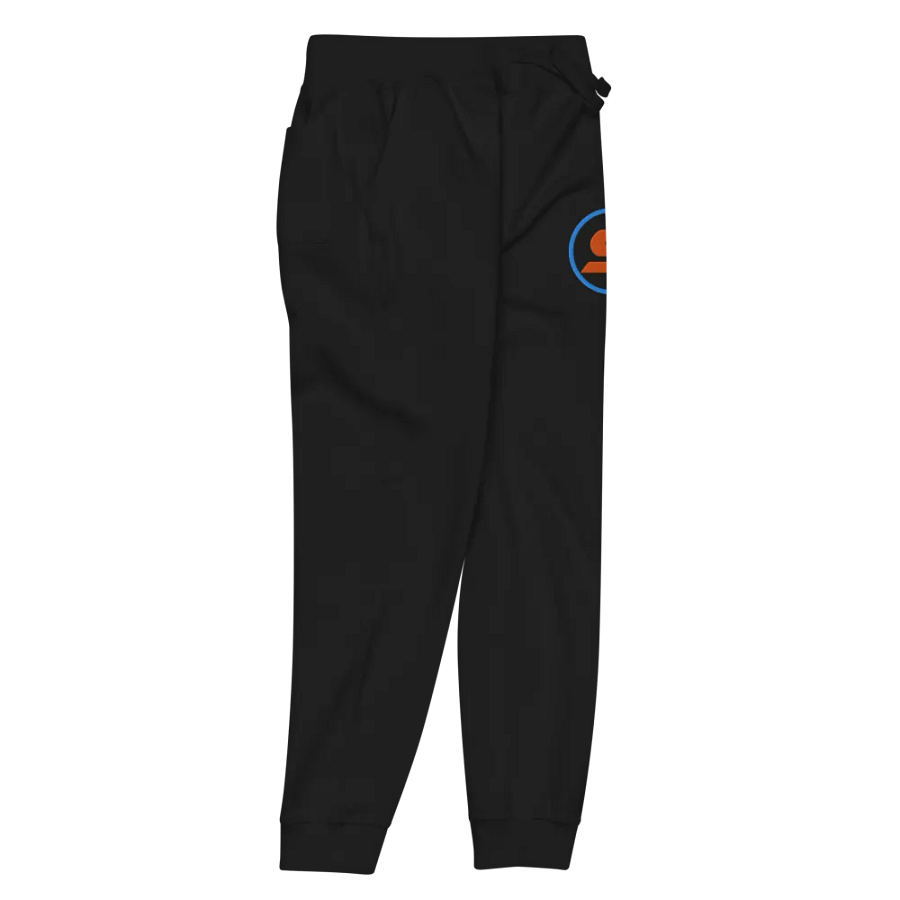 Warp Ring Embroidered Jogger Pants product image (5)