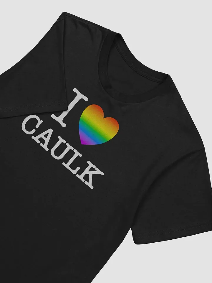 I LOVE CAULK Rainbow / Dark Fitted Tee product image (2)