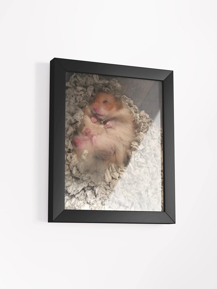 Nugget sleeping product image (2)