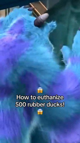 OH NO!!!
😱 Working on a project... 🤫 #rubberducky #rubberduck