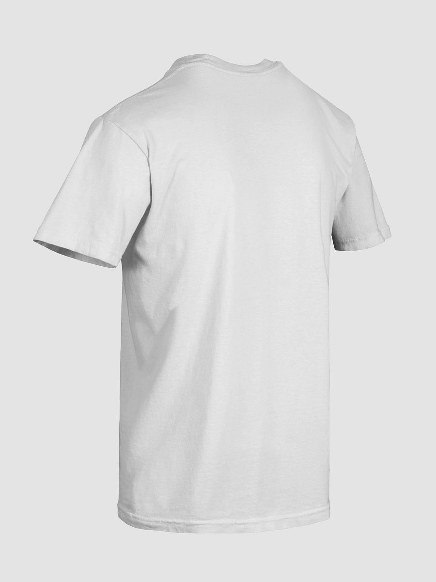 CHILL DODO HEAVYWEIGHT TEE product image (8)