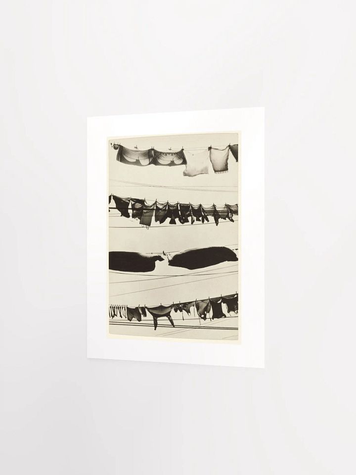 Washington Street, NYC, Wash Day By Walker Evans (c. 1930) - Print product image (7)