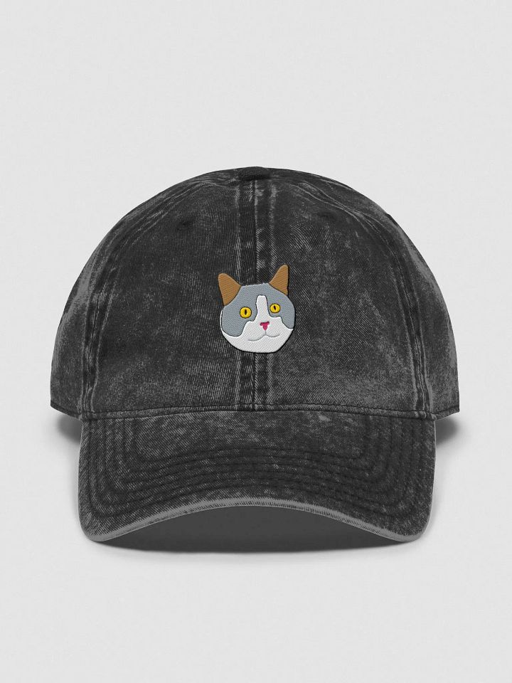 Wallybean Premium Vintage Dad Hat product image (2)