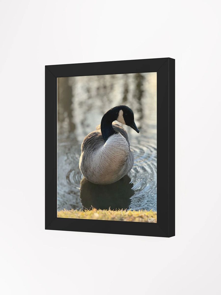 Bruce the Goose print product image (59)