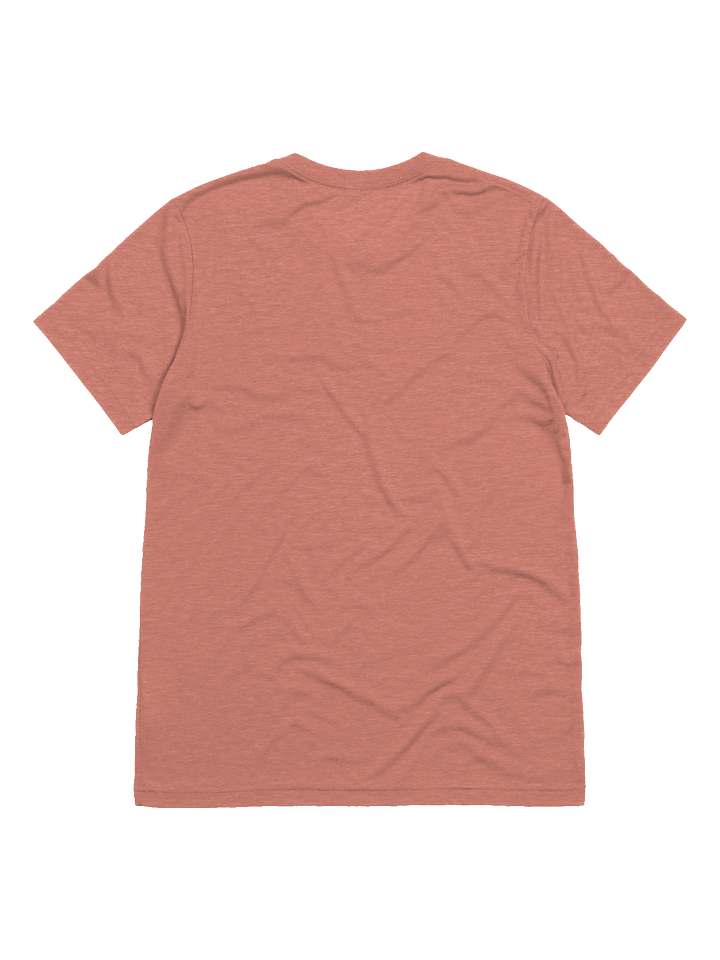 Fly Illustration Tri-Blend Tee product image (21)