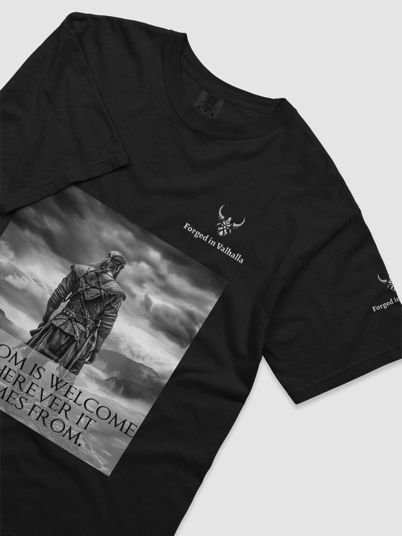 Wisdom is Welcome Men's Viking T-Shirt product image (57)