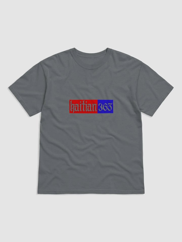 Haitian 365 Premium Ring-Spun Cotton T-Shirt product image (1)