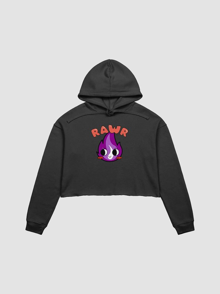RAWR Flame Crop Hoodie product image (4)