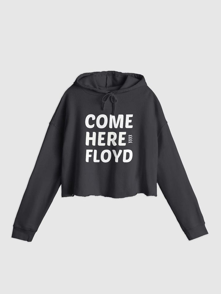 comeherefloyd BIG LOGO Crop Women's Hoodie product image (1)