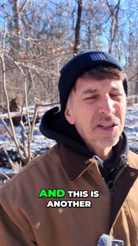 Single men: less stress, better shape, longer lives. Married men: stressed, fat, shorter lives. Food & drink are their only s...