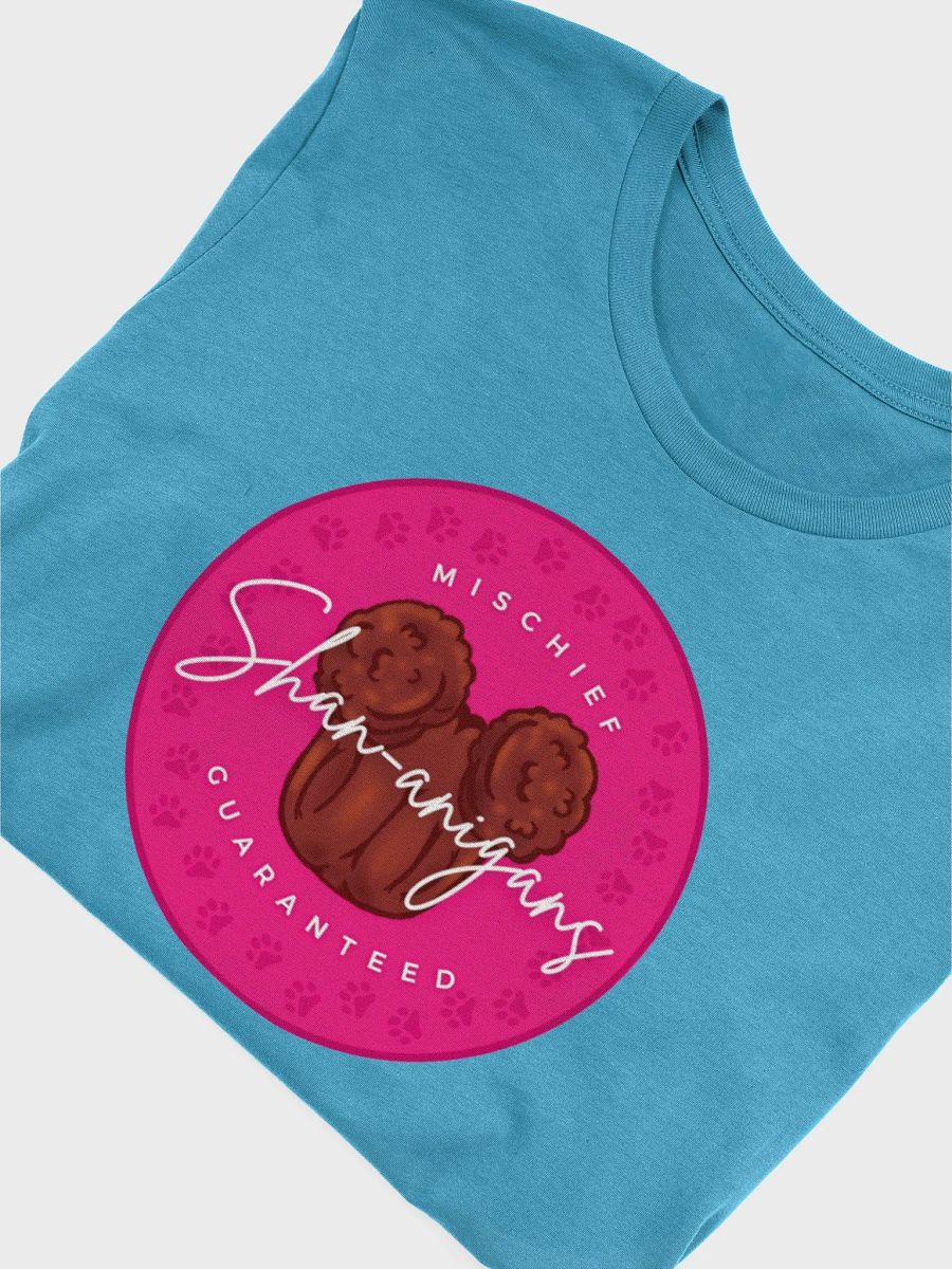 Shan-anigans Logo Bella Soft Tee product image (46)