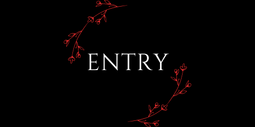✧ Entry ✧