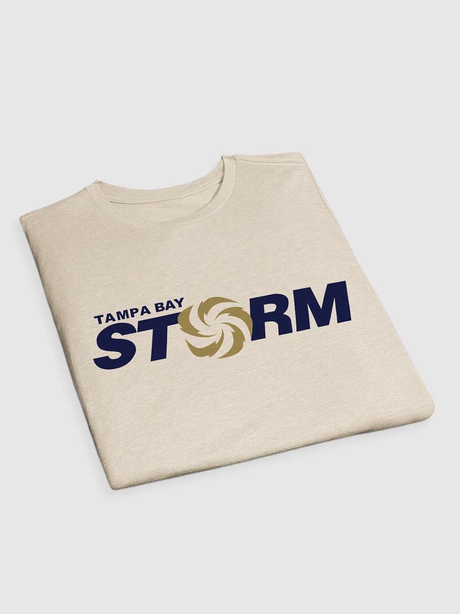 Tampa Bay Storm VFX Classic T-Shirt by Next Level product image (19)