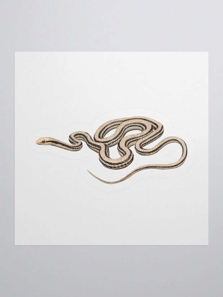 Die-Cut Sticker – Desert Patchnosed Snake product image (1)