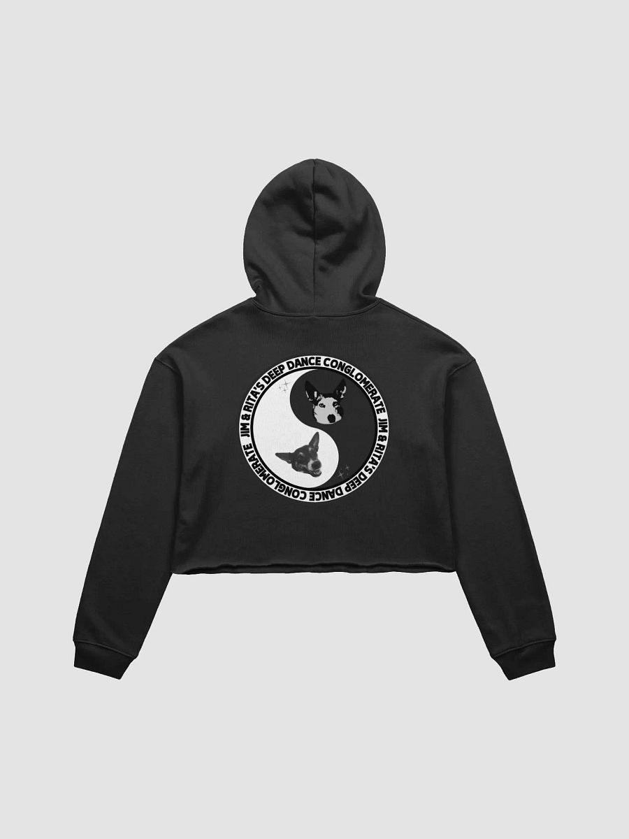 JRDDC INDUSTREE CROP HOODIE product image (1)