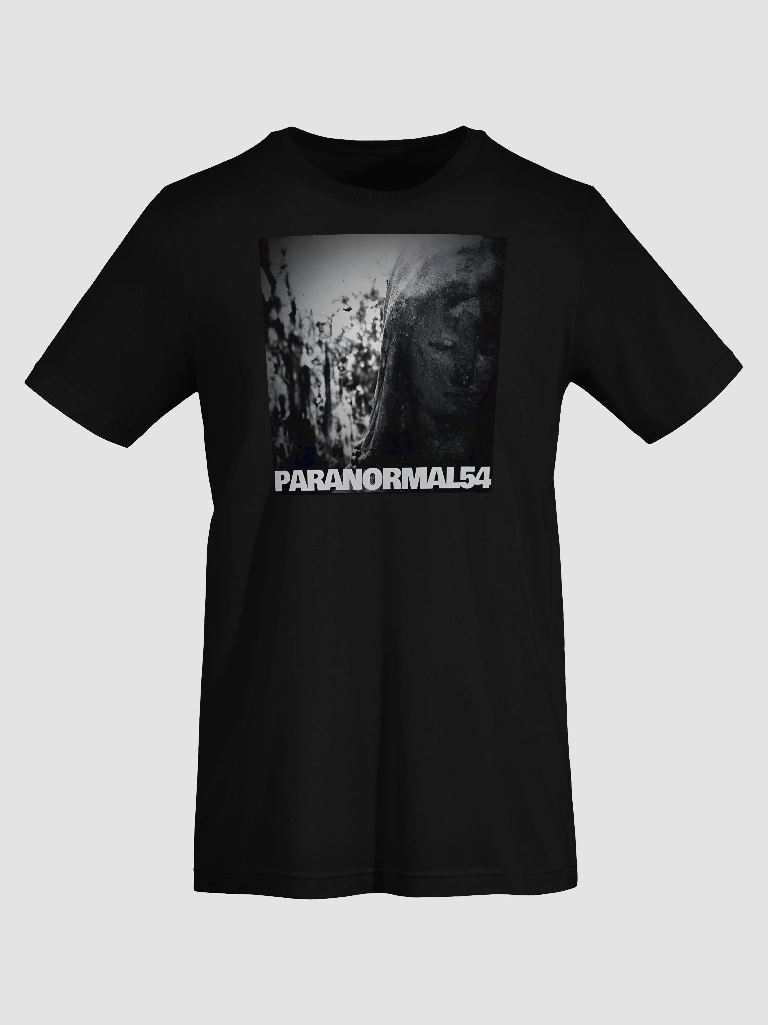 Haunted Mother Mary Statue T-Shirt product image (4)