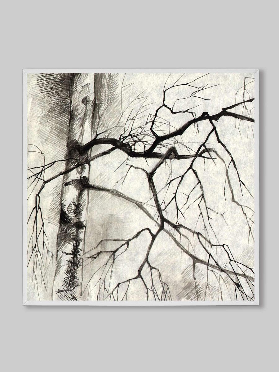 Birch Whispers Canvas - Birches product image (11)