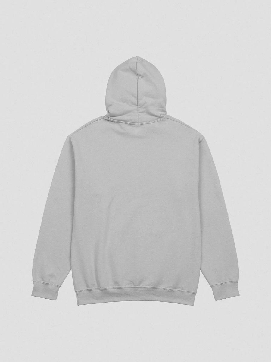 BEYN Hoodie (Black Logo) product image (3)