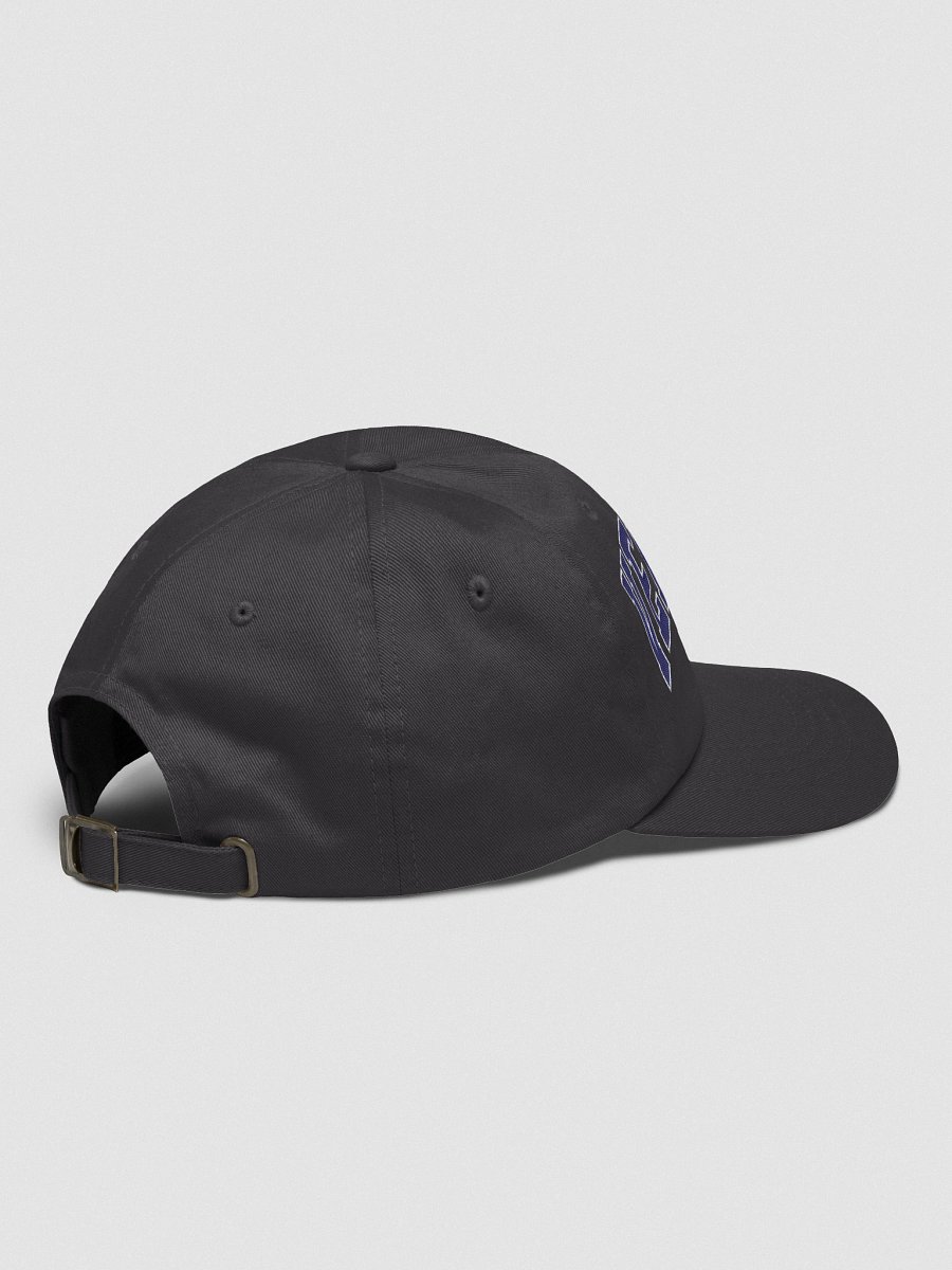Vermont Vintage Varsity Classic Dad Hat product image (20)