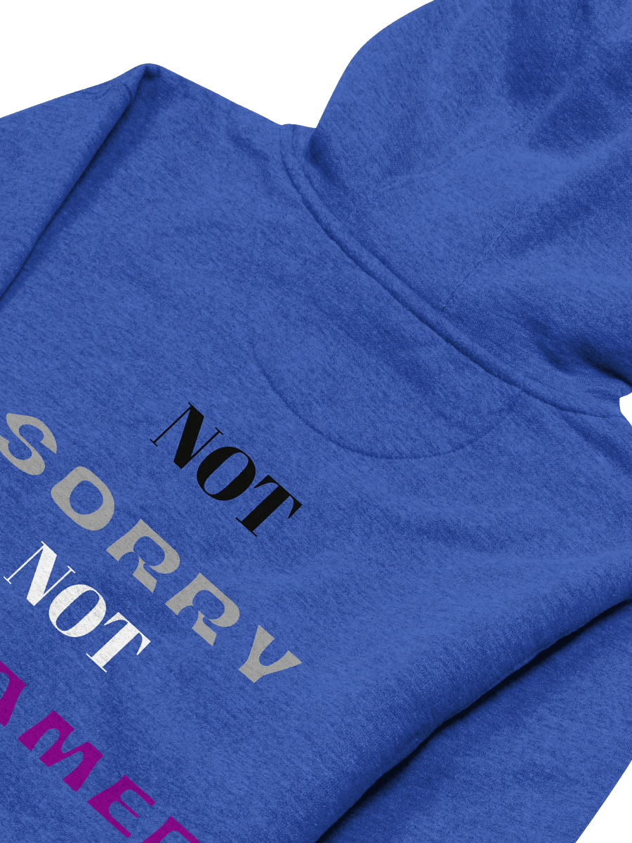 Not Sorry Not Ashamed (Ace Edition) product image (32)