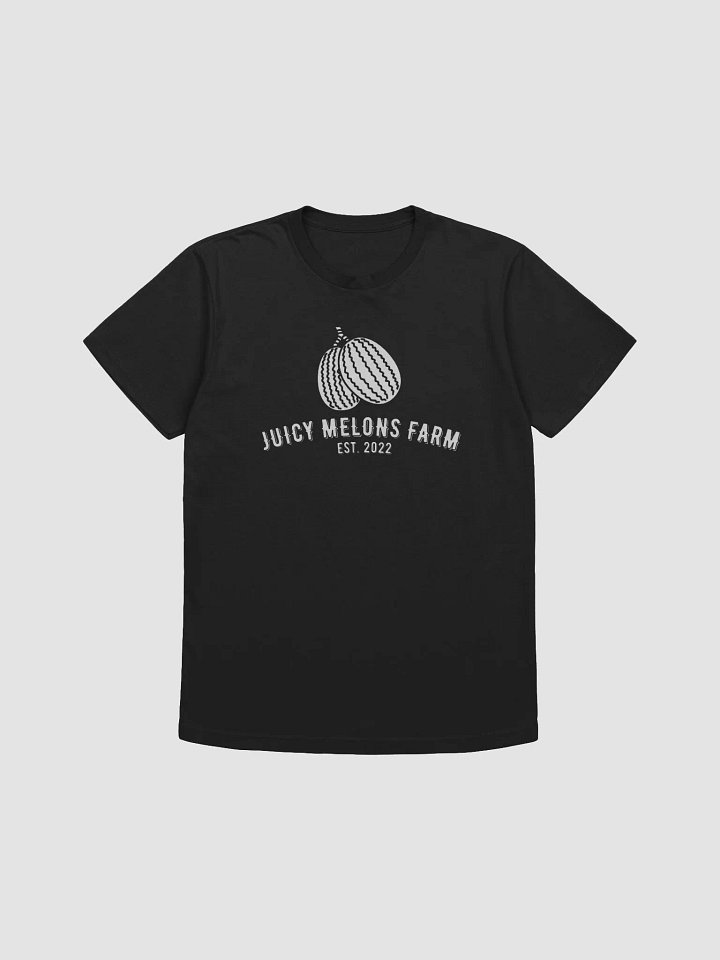 Juicy Melons Farm Oversized Tee product image (5)