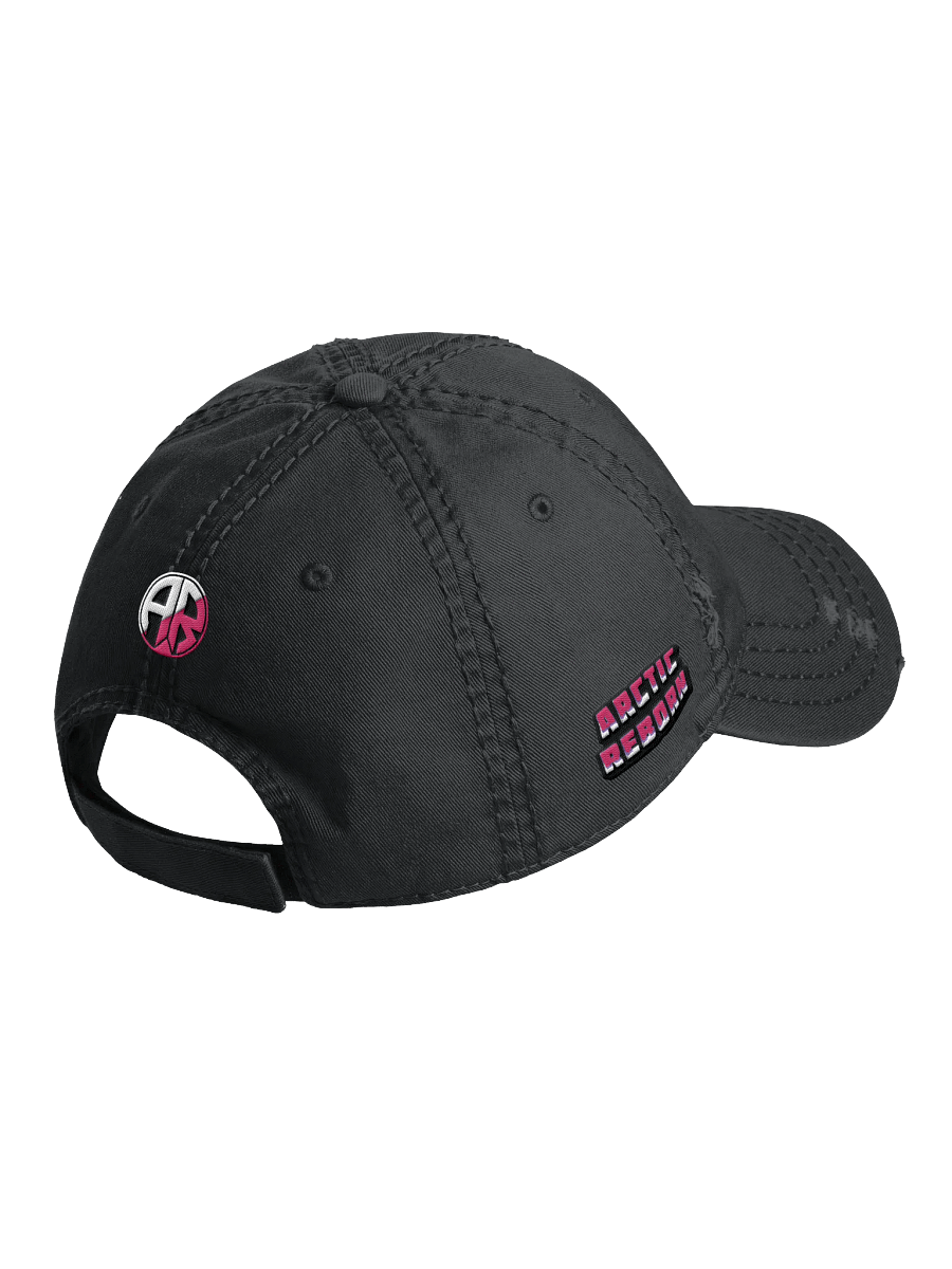 Logo Distressed Hat product image (3)