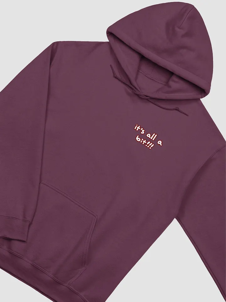 “It’s all a bit!!!” (sm. lined design, #6D1616) classic hoodie product image (43)