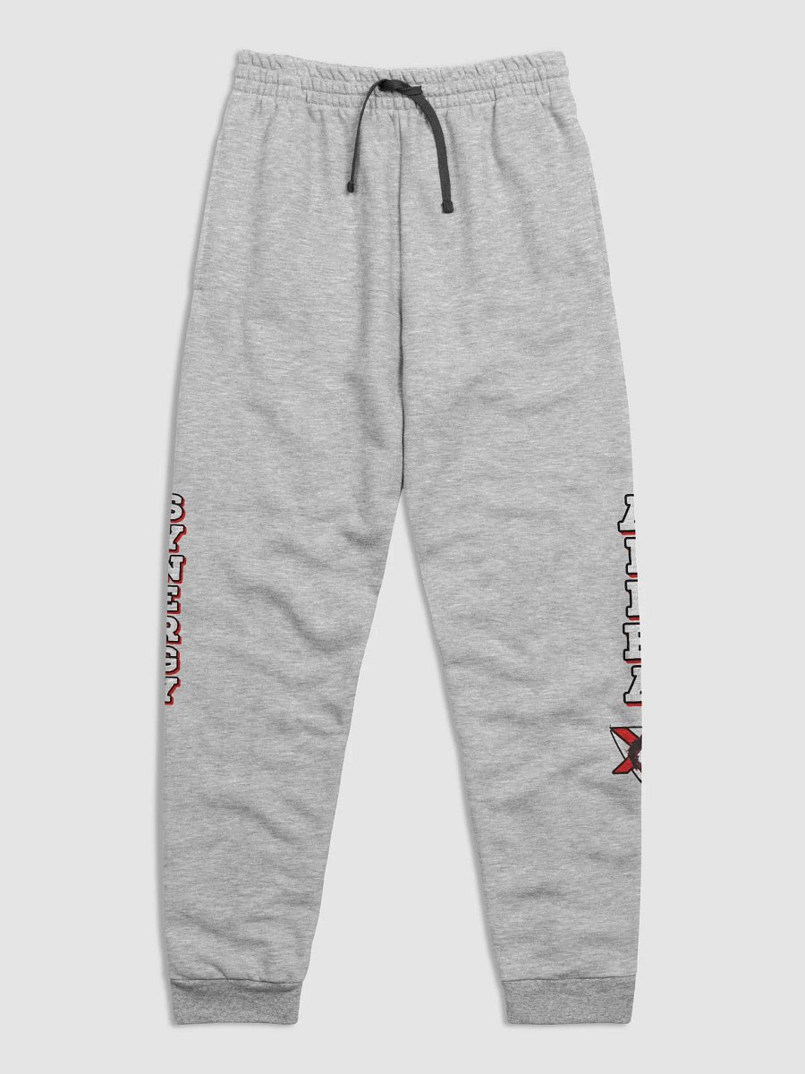 AlphaXSynergy Jerzees Unisex Joggers - Left Alpha Letter with Logo & Right Synergy Lettering product image (1)