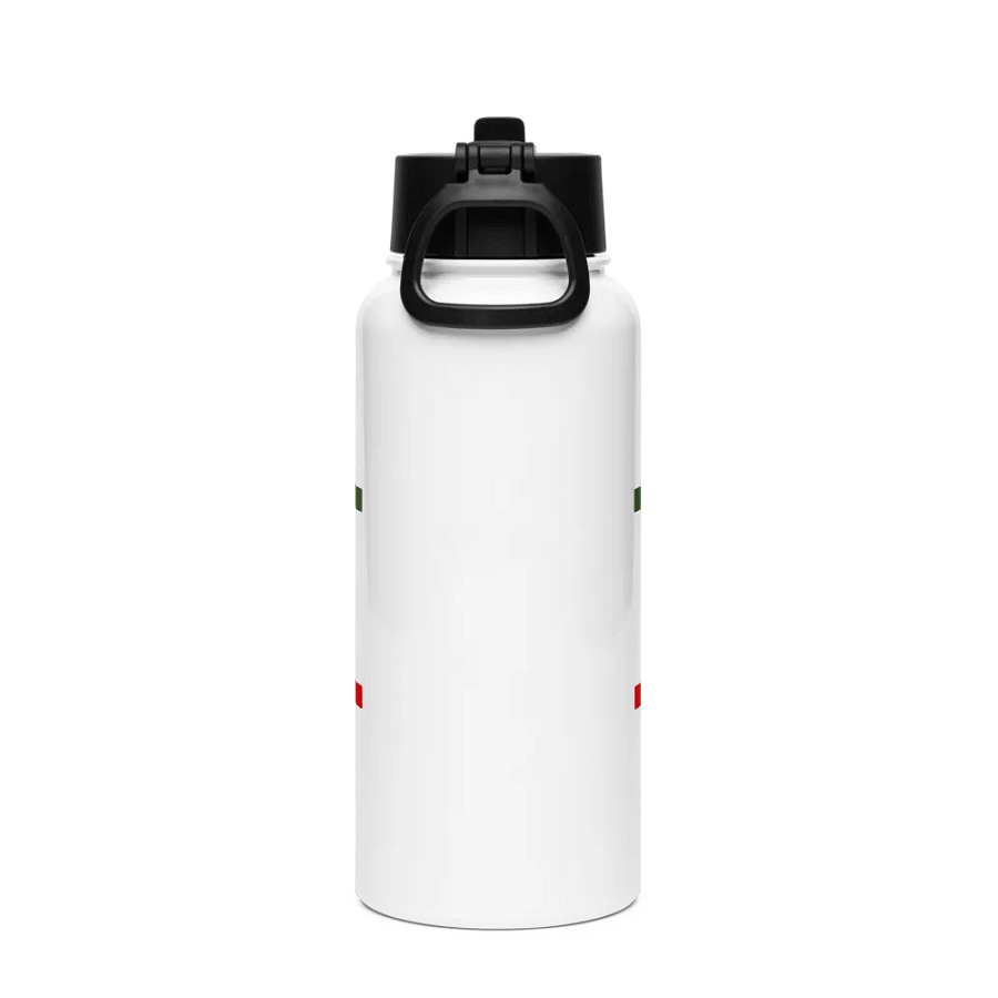 insulated water bottle product image (2)