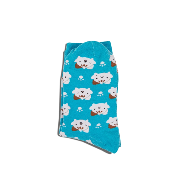 [Final Stock] Chipflake Catto Socks product image (1)