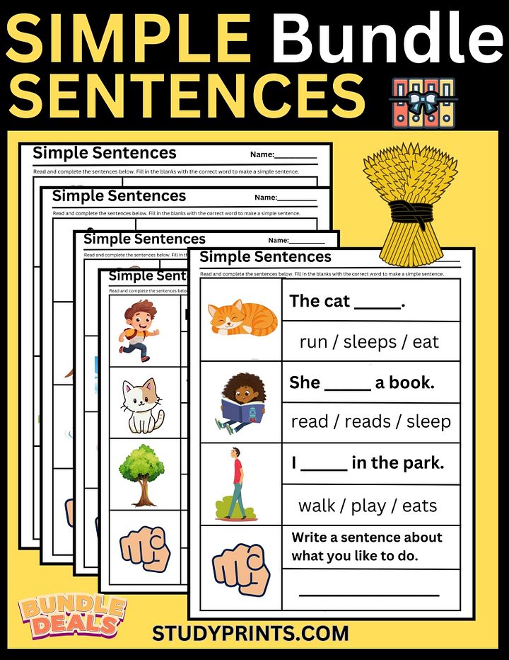 Simple Sentences for Beginners Worksheet Bundle product image (1)