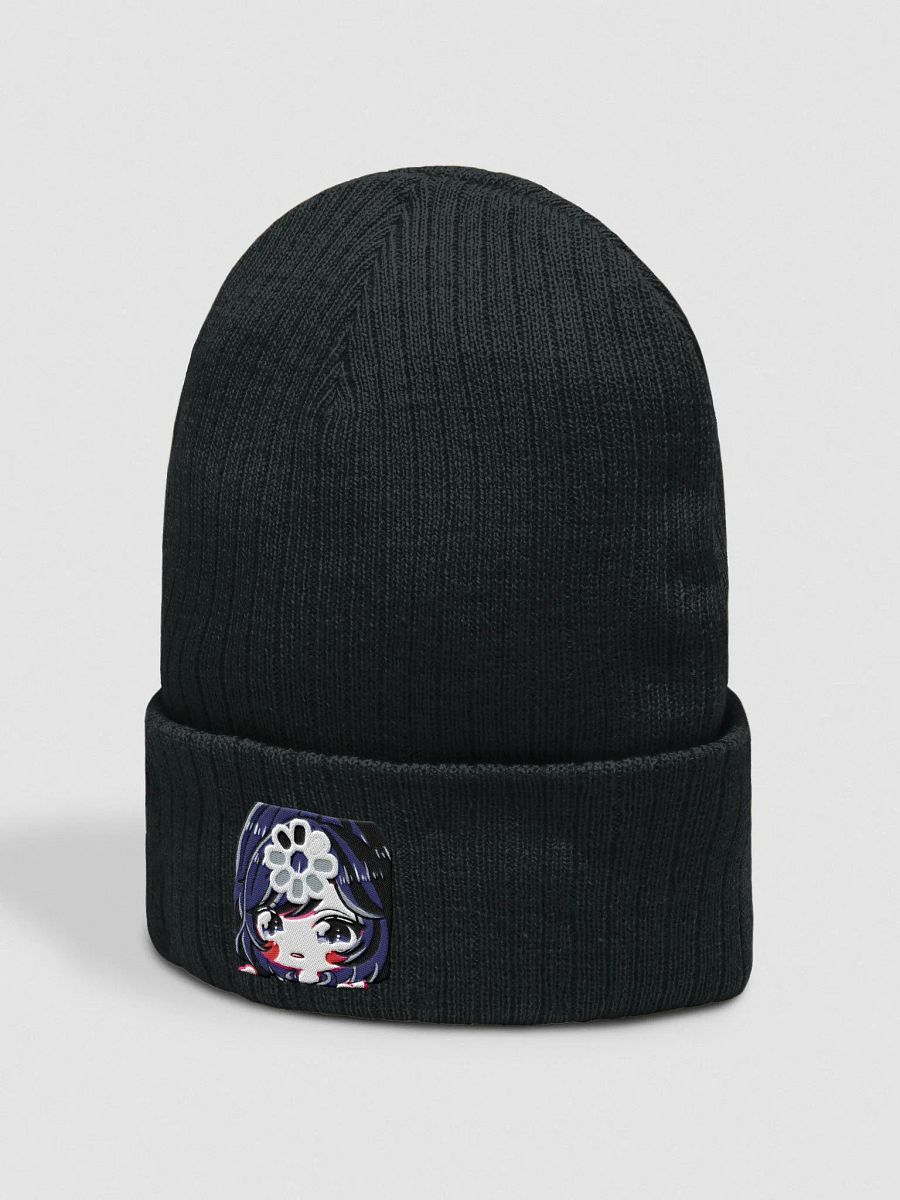 Buffering Ark Ribbed Knit Beanie product image (3)
